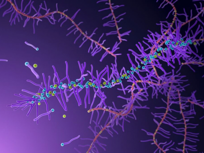 Polymer Matrix Composites Properties, Applications, and Advantages